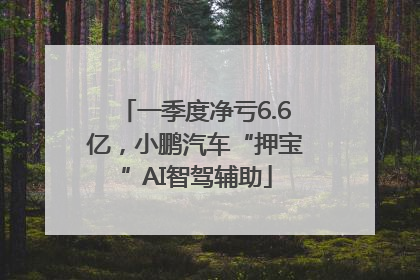 一季度净亏6.6亿，小鹏汽车“押宝”AI智驾辅助