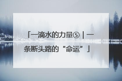 一滴水的力量⑤｜一条断头路的“命运”