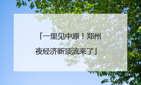 一里见中原！郑州夜经济新顶流来了