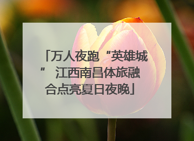 万人夜跑“英雄城” 江西南昌体旅融合点亮夏日夜晚