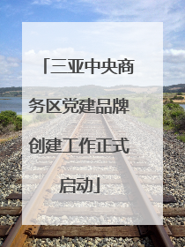 三亚中央商务区党建品牌创建工作正式启动