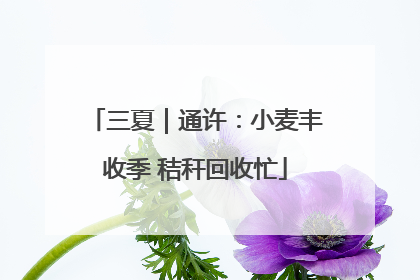 三夏｜通许：小麦丰收季 秸秆回收忙
