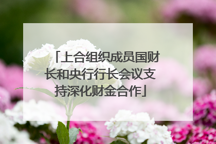 上合组织成员国财长和央行行长会议支持深化财金合作