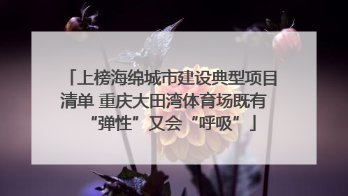上榜海绵城市建设典型项目清单 重庆大田湾体育场既有“弹性”又会“呼吸”