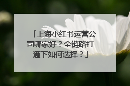 上海小红书运营公司哪家好？全链路打通下如何选择？