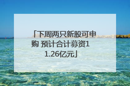 下周两只新股可申购 预计合计募资11.26亿元