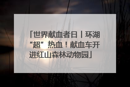 世界献血者日丨环湖“超”热血！献血车开进红山森林动物园