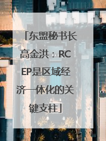 东盟秘书长高金洪：RCEP是区域经济一体化的关键支柱