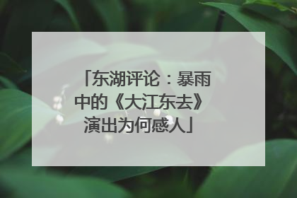 东湖评论：暴雨中的《大江东去》演出为何感人