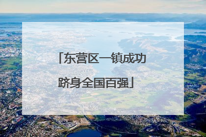 东营区一镇成功跻身全国百强