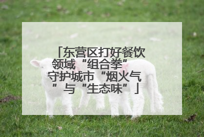 东营区打好餐饮领域“组合拳” 守护城市“烟火气”与“生态味”