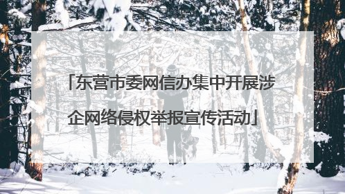 东营市委网信办集中开展涉企网络侵权举报宣传活动