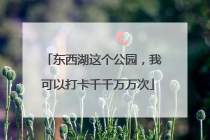 东西湖这个公园，我可以打卡千千万万次