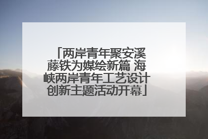 两岸青年聚安溪 藤铁为媒绘新篇 海峡两岸青年工艺设计创新主题活动开幕