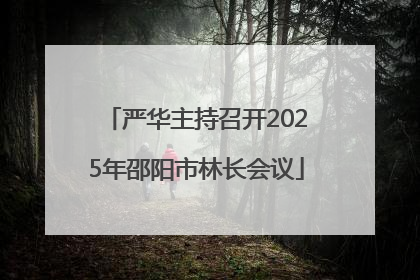 严华主持召开2025年邵阳市林长会议