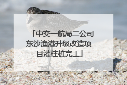 中交一航局二公司东沙渔港升级改造项目灌柱桩完工