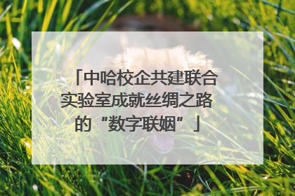 中哈校企共建联合实验室成就丝绸之路的“数字联姻”