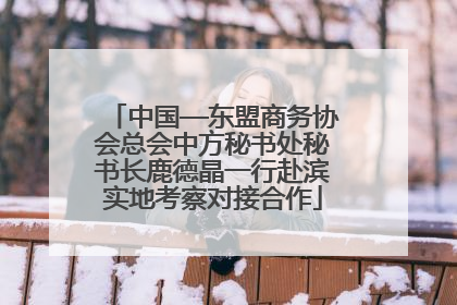 中国—东盟商务协会总会中方秘书处秘书长鹿德晶一行赴滨实地考察对接合作