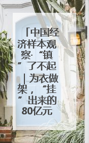 中国经济样本观察·“镇”了不起｜为衣做架，“挂”出来的80亿元“衣架产业”