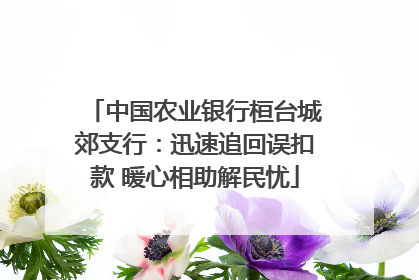 中国农业银行桓台城郊支行：迅速追回误扣款 暖心相助解民忧