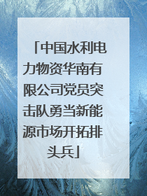 中国水利电力物资华南有限公司党员突击队勇当新能源市场开拓排头兵