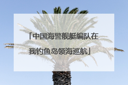 中国海警舰艇编队在我钓鱼岛领海巡航