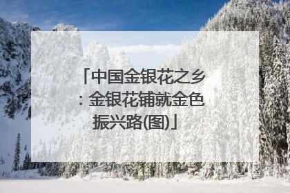 中国金银花之乡：金银花铺就金色振兴路(图)