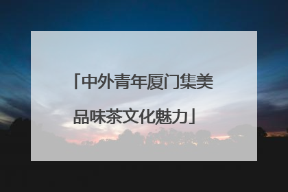 中外青年厦门集美品味茶文化魅力