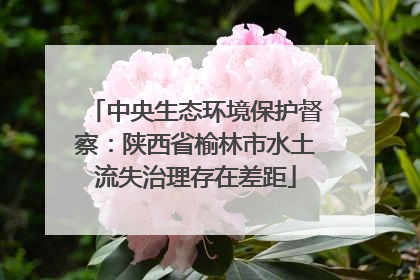 中央生态环境保护督察：陕西省榆林市水土流失治理存在差距