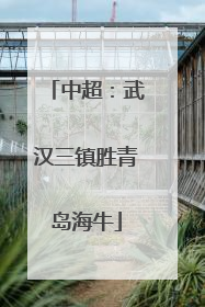 中超：武汉三镇胜青岛海牛