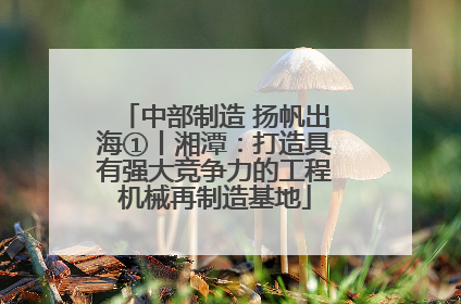 中部制造 扬帆出海①丨湘潭：打造具有强大竞争力的工程机械再制造基地