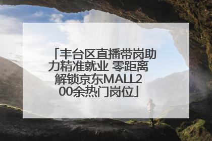 丰台区直播带岗助力精准就业 零距离解锁京东MALL200余热门岗位