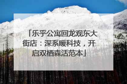 乐乎公寓回龙观东大街店：深系暖科技，开启双栖森活范本