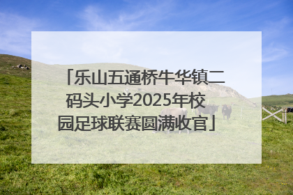 乐山五通桥牛华镇二码头小学2025年校园足球联赛圆满收官