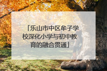 乐山市中区牟子学校深化小学与初中教育的融合贯通
