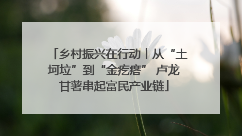 乡村振兴在行动丨从“土坷垃”到“金疙瘩” 卢龙甘薯串起富民产业链