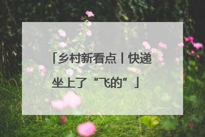 乡村新看点丨快递坐上了“飞的”