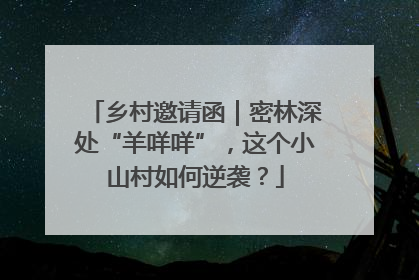 乡村邀请函｜密林深处“羊咩咩”，这个小山村如何逆袭？