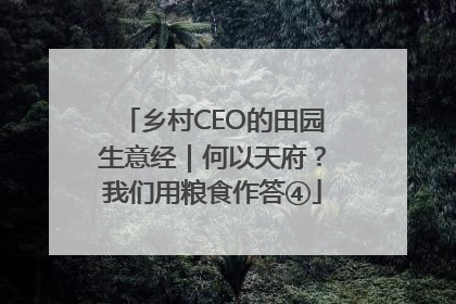 乡村CEO的田园生意经｜何以天府？我们用粮食作答④