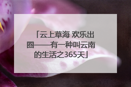 云上草海 欢乐出圈——有一种叫云南的生活之365天