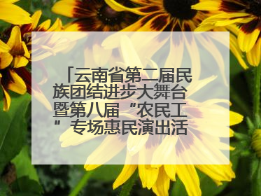 云南省第二届民族团结进步大舞台暨第八届“农民工”专场惠民演出活动启幕