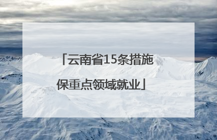 云南省15条措施保重点领域就业