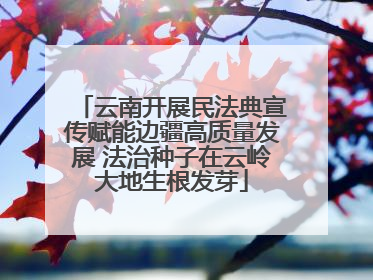 云南开展民法典宣传赋能边疆高质量发展 法治种子在云岭大地生根发芽