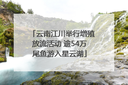 云南江川举行增殖放流活动 逾54万尾鱼游入星云湖