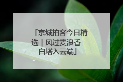 京城拍客今日精选｜风过麦浪香 白塔入云端