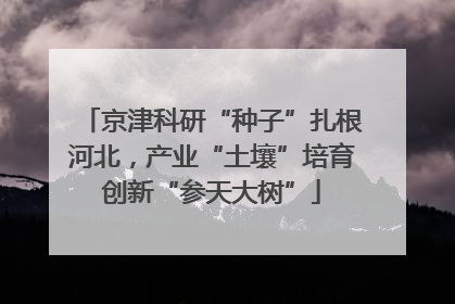 京津科研“种子”扎根河北，产业“土壤”培育创新“参天大树”