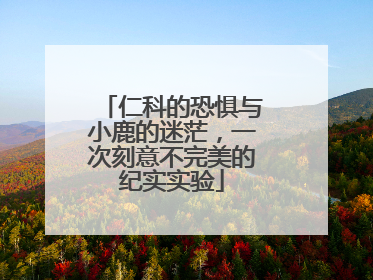 仁科的恐惧与小鹿的迷茫，一次刻意不完美的纪实实验