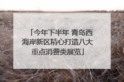 今年下半年 青岛西海岸新区精心打造八大重点消费类展览