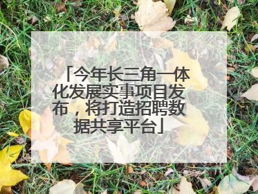 今年长三角一体化发展实事项目发布，将打造招聘数据共享平台