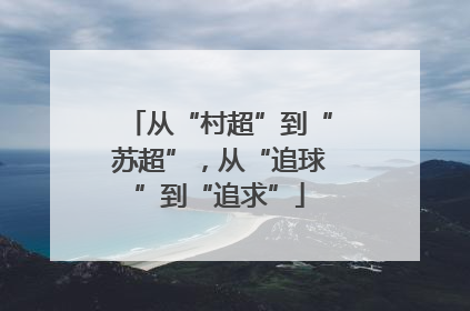 从“村超”到“苏超”，从“追球”到“追求”